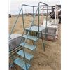 Image 1 : PORTABLE METAL LADDER