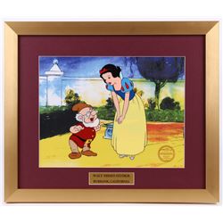 Walt Disney's "Snow White and the Seven Dwarfs" 16x19 Custom Framed Animation Serigraph Display