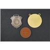 Image 6 : Lot of 14 different Pins and Medals of Fraternal Organizations 19th - 20th Cent,