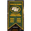 Image 1 : EDMONTON ESKIMOS GREY CUP CHAMPIONS GREEN BANNER