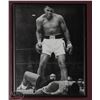 Image 12 : LOT OF BOXING MEMORABILIA INCL. 12 FRAMED PHOTOS &