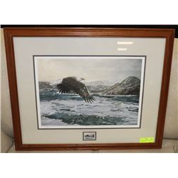 FRAMED ART "MAJESTIC WINGS" BY M. VISSER SIGNED