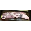 Image 1 : REALISTIC PIG PILLOW