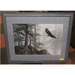 FRAMED ART "FLYING HIGH SIGNED ALAN SAKHAVARZ.