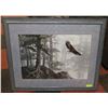 Image 1 : FRAMED ART "FLYING HIGH SIGNED ALAN SAKHAVARZ.