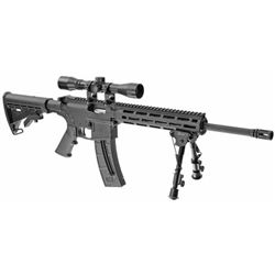 Smith & Wesson, M& P15-22 Sport II, Semi-automatic, AR-15, 22 LR, 16.5  Barrel