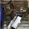 Image 2 : 2 TRAILER HITCHES W/ BALLS