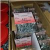 Image 3 : 1600 2" FLAT WOOD SCREWS