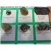 Image 3 : PLAQUE OF MINERALS