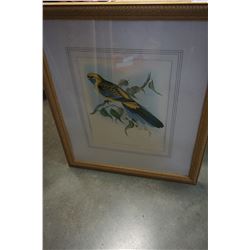 BIRD PRINT AND GERRY METZ PRINTS