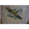 Image 3 : BIRD PRINT AND GERRY METZ PRINTS