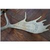 Image 2 : MOOSE ANTLER CRIB BOARD