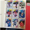 Image 1 : BINDER OF 1983-84 OPEECHEE HOCKEY CARDS