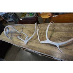 LOT OF 2 ANTLERS