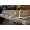 Image 1 : LOT OF 2 ANTLERS