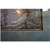 Image 2 : LARGE PRINT SILENT WINGS BY FRED BUCHWITZ