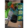 Image 2 : LOT OF PLANTERS AND ROLL UPSABLE WATER CAN