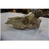 Image 2 : DEER SKULL