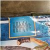Image 2 : NEW DELUXE ADULT COSTUME