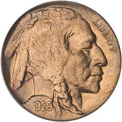 Lot 0903 - 1929-D Buffalo Nickel PCGS MS65