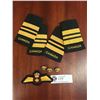 Image 1 : Nice Lot of Royal Canadian Air Force Patches and Buttons