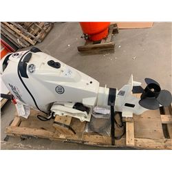 Boat Motor: 15 H. P. Evinrude E-TEC