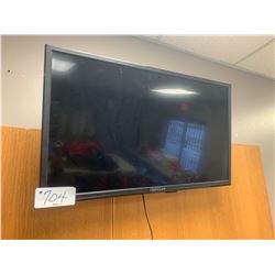 Proscan Wall Mount Television