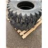 Image 2 : Tires