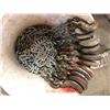 Image 3 : Misc. hooks and chains