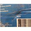Image 3 : Pro series Trailer jack, 2500 lb