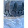Image 2 : Titan Contractor T 12.5/80-18 NHS Tire