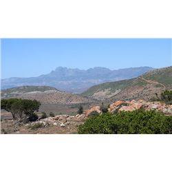 South Africa Royal Karoo Safaris for 1 Hunter + 1 Non,  Trophy Fees 1 Nyala, 1 Kudu and 1 Springbuck