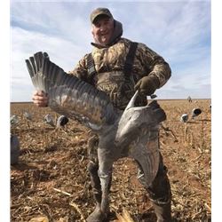 West Texas Sandhill Crane Hunt for 2 Hunters 3days/3nights