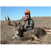 Image 1 : 2020 Nebraska 4 Day Mule Deer or Whitetail Deer with Archery or Black Powder Rifle