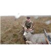 Image 7 : 2020 Nebraska 4 Day Mule Deer or Whitetail Deer with Archery or Black Powder Rifle