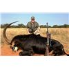 Image 2 : 7 Day hunt for choice of Sable or Roan Antelope