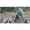 Image 2 : Oregon 5 Day Columbia Blacktail Hunt for 2