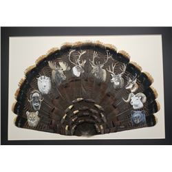 Super 10 Turkey Tail Art by Dan Christ