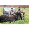 Image 6 : 4 Day/3 Night Estate Bison Hunt in Maine