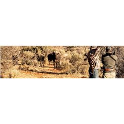 5-Day South Africa Cape Buffalo Package