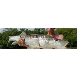 Florida Fishing with High Adventure Sportfishing