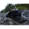 Image 5 : Alaska Mountain Goat Hunt