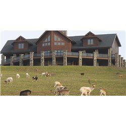 Pennsylvania Youth Cow Elk Hunt With Big 5 Lodge