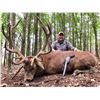 Image 4 : Pennsylvania Youth Cow Elk Hunt With Big 5 Lodge