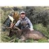 Image 6 : 5 Day New Zealand Bull Tahr Hunt