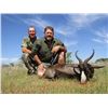 Image 5 : 6 Day South Africa Plains Game Safari for 2 Hunters with Jannie Otto Safaris