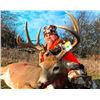 Image 4 : Iowa Whitetail Hunt for One Hunter