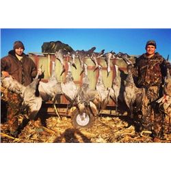 Texas Sandhill Crane Hunt for 2