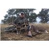 Image 4 : 3 Day, 2 Night Texas Hill Country hunt for choice of Whitetail, Blackbuck or Aoudad