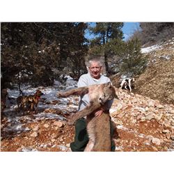Utah Mountain Lion Hunt for 2 Hunters with Pine Valley Outfitters
